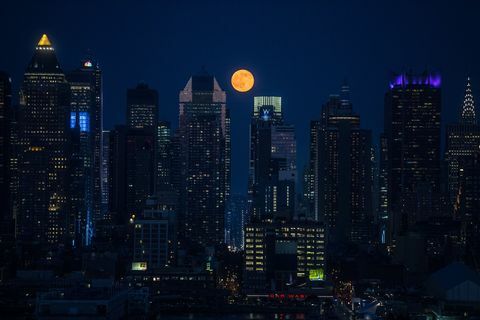 Erdbeermond NYC