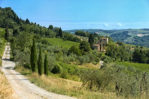 Michelangelo - Toskana - Villa - Grundstück - Handsome Properties International