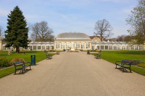 Botanischer Garten, Sheffield