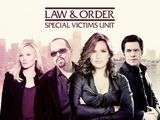 Law & Order: SVU Staffel 15
