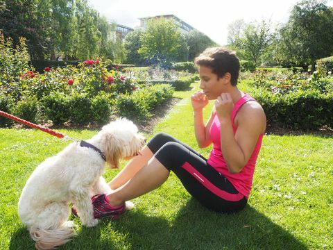 Übung mit Hund