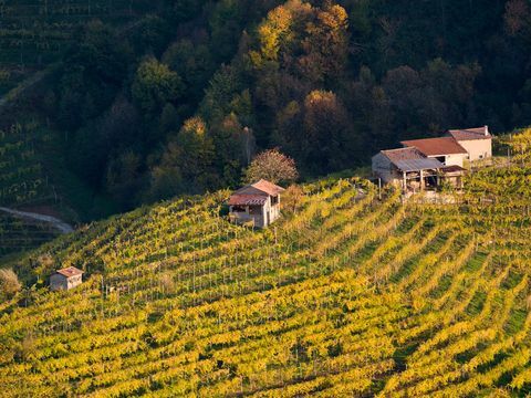 Weinberge in Valdobbiadene, Land des Prosecco-Weins