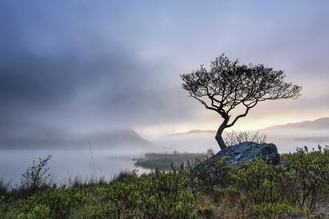 Der Gewinner des Handbuchs, George Evans, Llyn Dinas, Craflwyn und Beddgelert