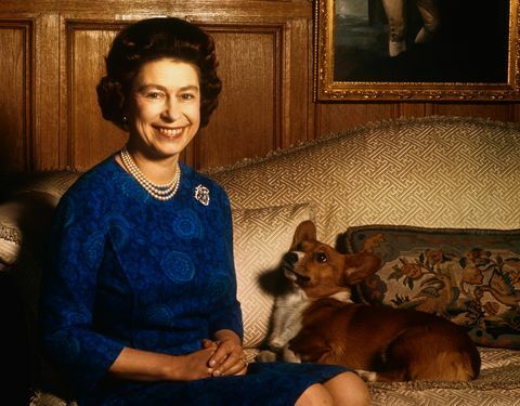 Meghan Markles Hund reitet mit der Queen Elizabeth nach Windsor