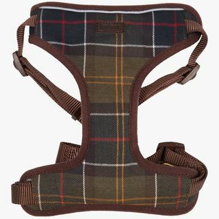 Barbour Classic Tartan Hundereisegurt