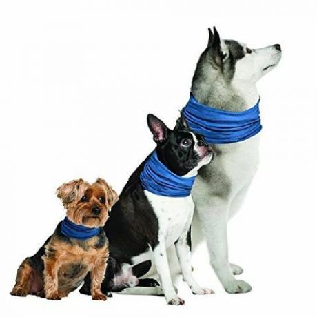 Novel Brands K9 Chill Dog Kühlhalsband (Small / Medium 8