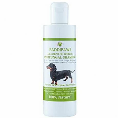 100 % natürliches antimykotisches und antibakterielles Hundeshampoo – Hefepilzinfektionen, Ringelflechte, Dermatitis, Pyodermie – sicher – natürlich – frei von Parabenen und SLS – 250 ml – größere Flasche im Laden erhältlich.