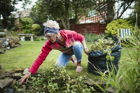 Seniorin sammelt Unkraut und Gartenabfälle in ihrem Kompostbeutel und reinigt Unkraut aus ihrem Gartenteich