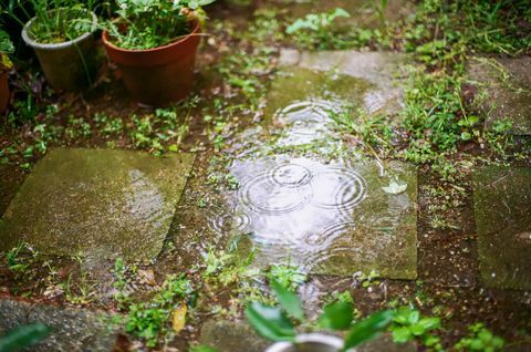 Regentropfen hinterlassen Ringe auf dem Wasser im Garten