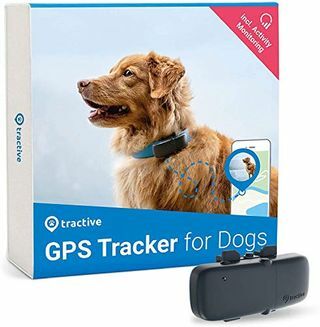 Tractive GPS Tracker für Hunde