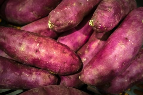 Nahaufnahme der japanischen Süßkartoffel (Ipomoea Batatas)