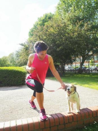 Übung mit Hund