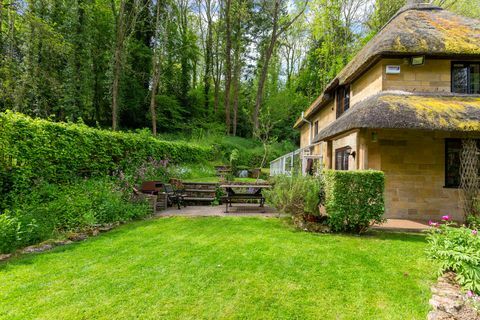 Geräumiger Gartenbereich mit bunten Blumen