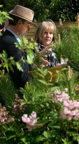 Richter diskutieren die Schaugärten, Chelsea Flower Show 2008