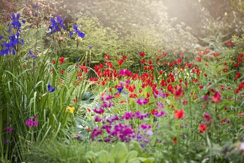 Kleine Gartengestaltungsideen - werden Sie mutig