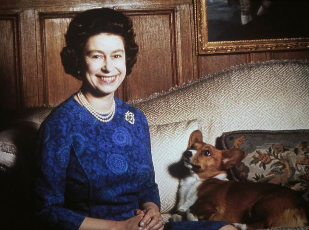 Queen Elizabeth II. mit einem Corgi, 1970, Foto von Keystionehulton Archivegetty Images