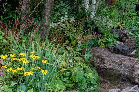 der Yeo Valley Organic Garden, entworfen von Tom Massey, unterstützt von Sarah Mead, gesponsert von Yeo Valley Organic Show Garden RHS Chelsea Flower Show 2021 Stand Nr. 323