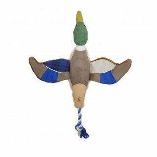 Go Quackers Duck Hundespielzeug