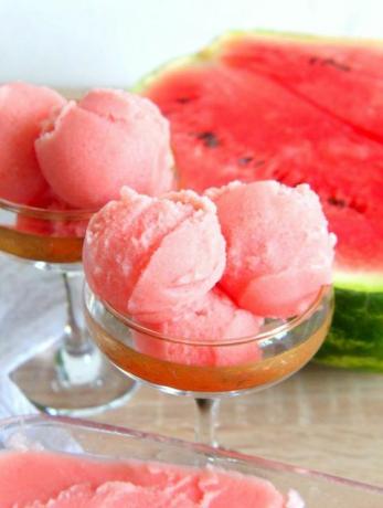 Wassermelonen-Kokosnuss-Sorbet-Rezept