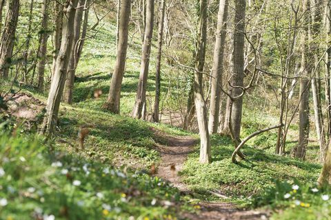 Häuschen in North Yorkshire zu verkaufen