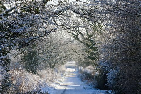 Winterszene UK