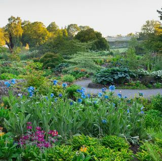 RHS gemeinsame Mitgliedschaft