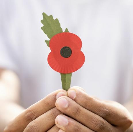 Die Royal British Legion stellt ihre neue plastikfreie Mohnblume aus 100 % Papier vor