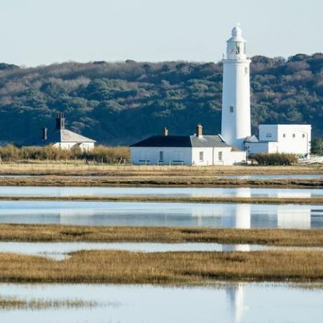 Umzug in den neuen Waldleuchtturm in Hurst Castle