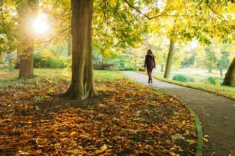 Frau, die in Park während des Herbstes geht