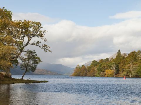 Zum Verkauf steht eine Insel von rund 103 Hektar vor dem Westufer des südlichen Loch Lomond