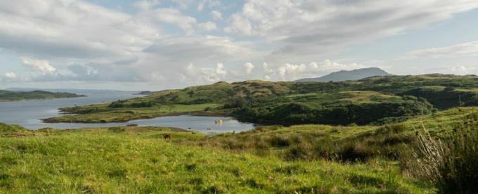 Torsa-Insel in Schottland