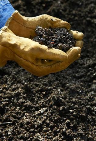 Hand Holing Soil aus Home Composting Küchenabfälle oder Gemüse und Obst zusammen mit Herbstlaub und Grasschnitt erstellt. Endprodukt dunkelbraune Erde, reich an Nährstoffen und Würmern, die sich im Garten ausbreiten.